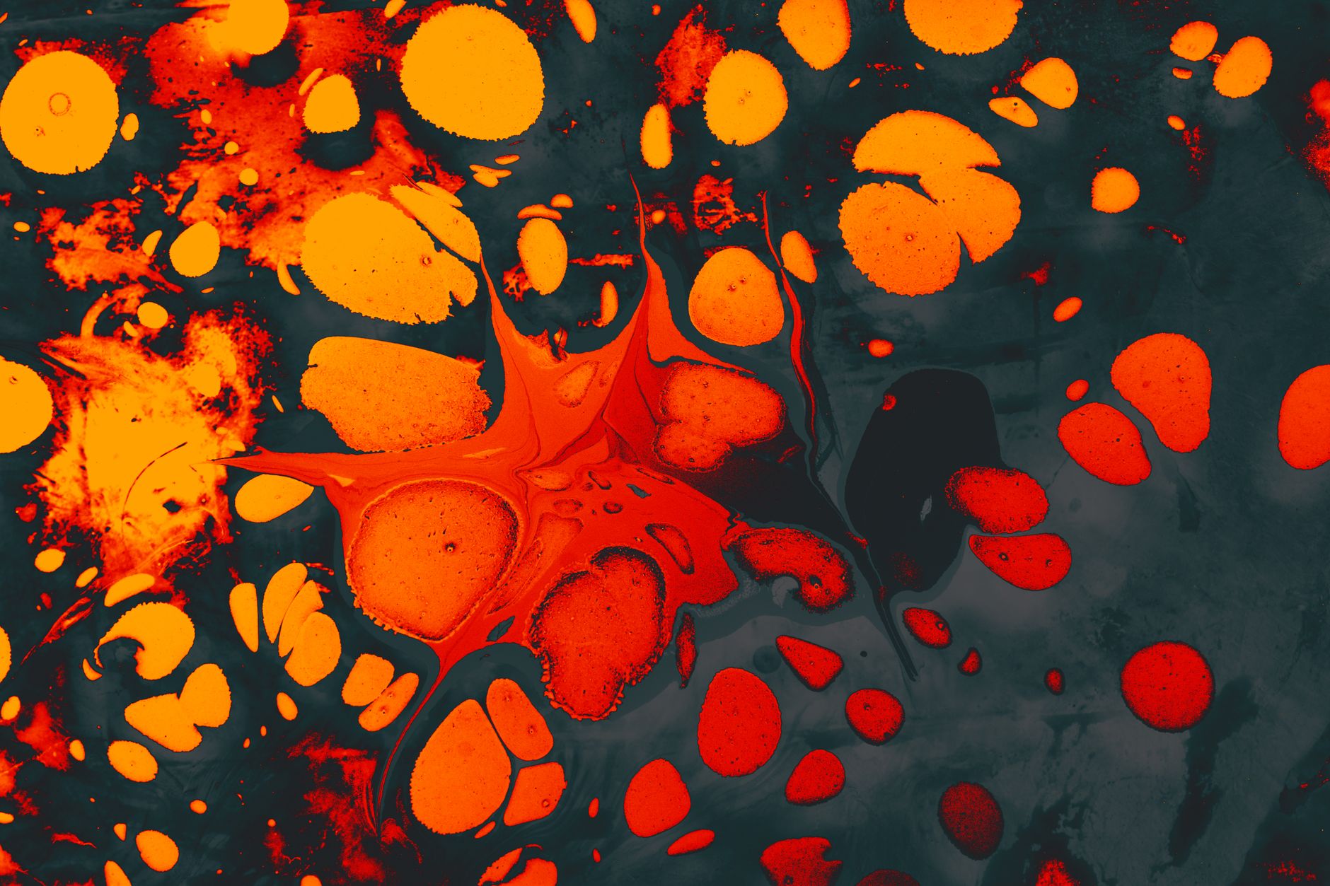 Amoled 14917289 Turgay Koca 1880x1253 wallpaper