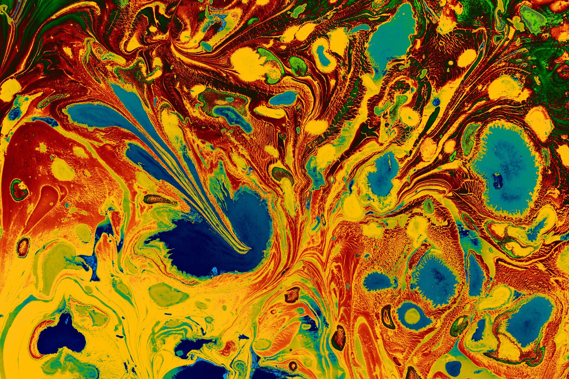 Amoled 15275462 Turgay Koca 1880x1253 wallpaper
