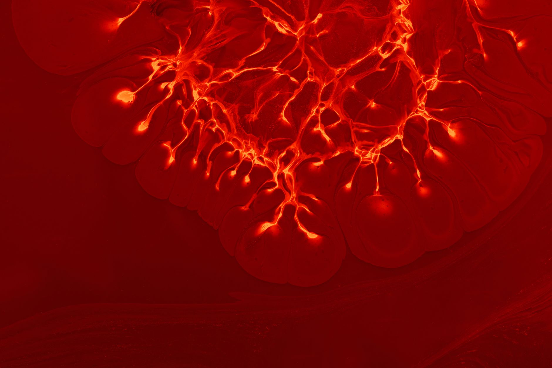 Amoled 15280670 Turgay Koca 1880x1253 wallpaper