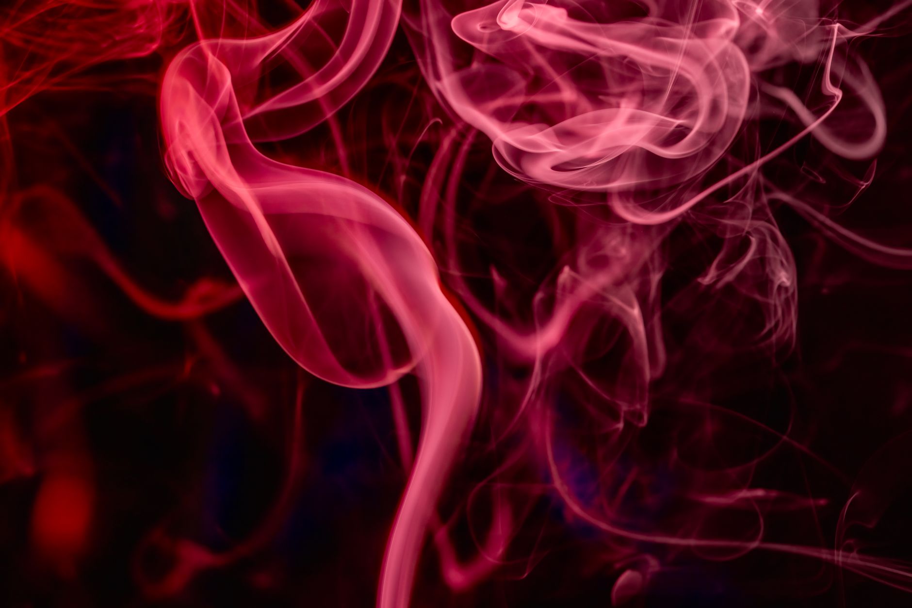 Amoled 38947119 Rafael Minguet Delgado 1880x1253 wallpaper