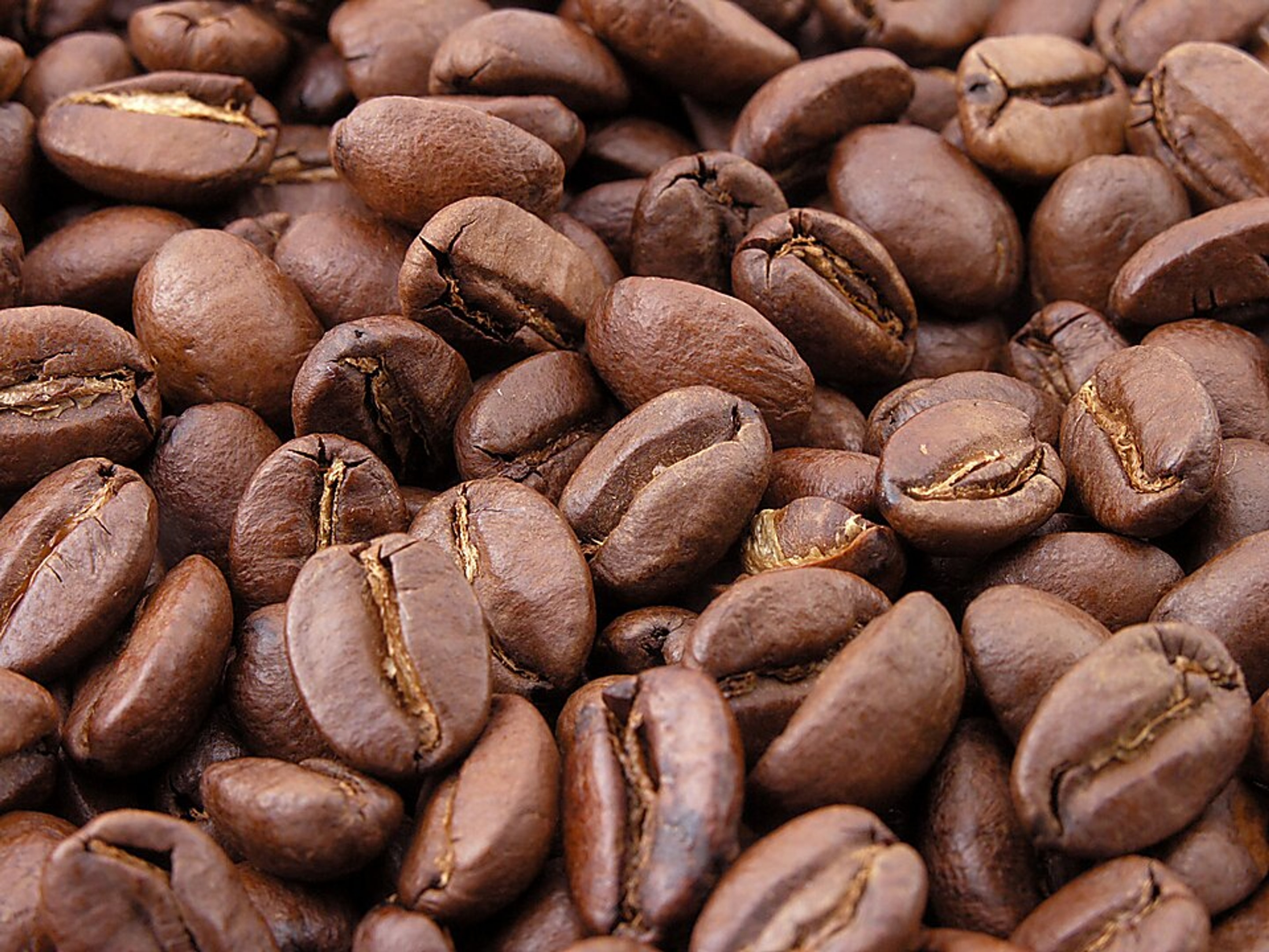 Roasted Coffee Beans photography wallpaper