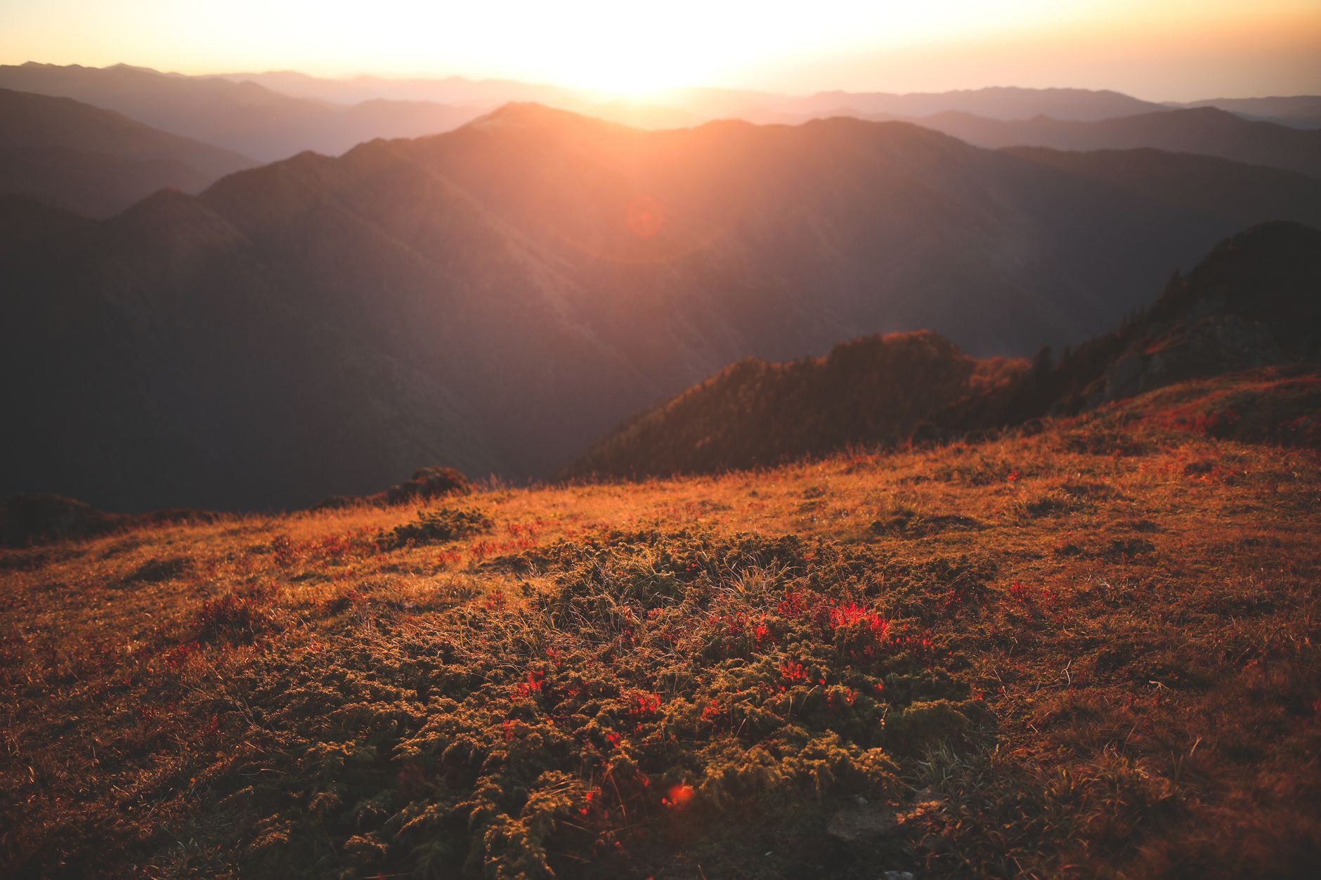 Nature 36646393 Orhan Naml 1880x1253 wallpaper